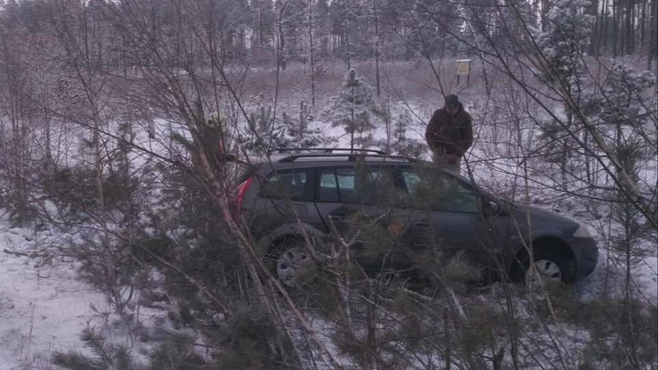 На Рівненщині автомобіль злетів у кювет та врізався у дерево: фото