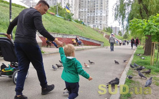 Як позбавити батьківських прав батька, який не бере участі в утриманні дитини