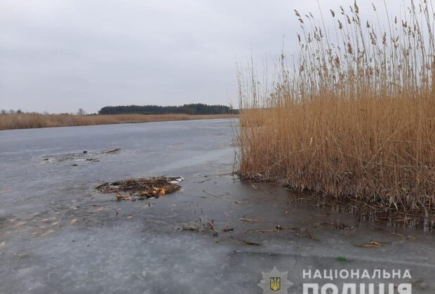 В Харьковской области утонул подросток, спасая собаку