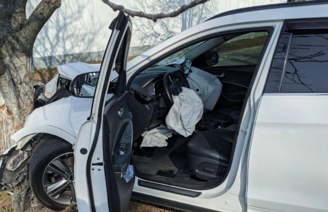 Влетел в дерево: в Киеве произошло серьезное ДТП, фото