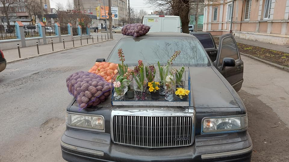 В Черновцах с капота лимузина Lincoln продавали лук и картошку: фото
