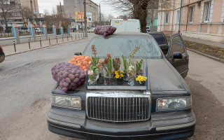 В Черновцах с капота лимузина Lincoln продавали лук и картошку: фото