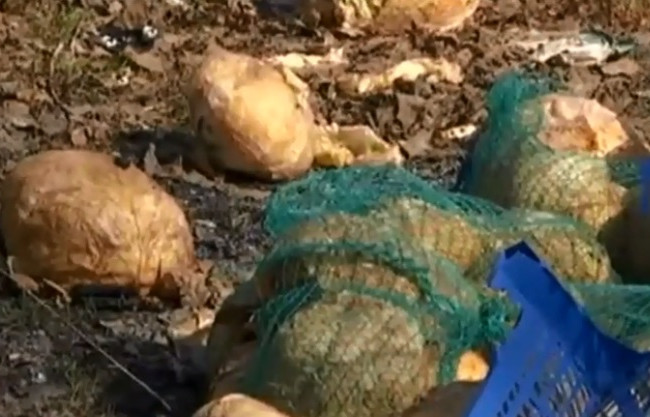 В одному з районів столиці невідомі засипали берег озера гнилою капустою