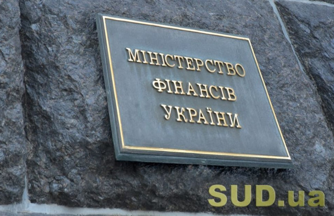 Минфин планирует ввести форму отчёта о движении товаров в свободной таможенной зоне