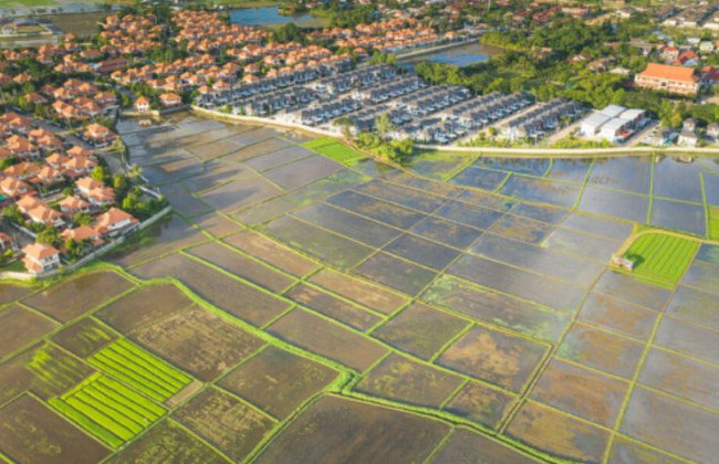 Грошова компенсація за частку успадкованої земельної ділянки у разі відсутності технічної можливості її поділу