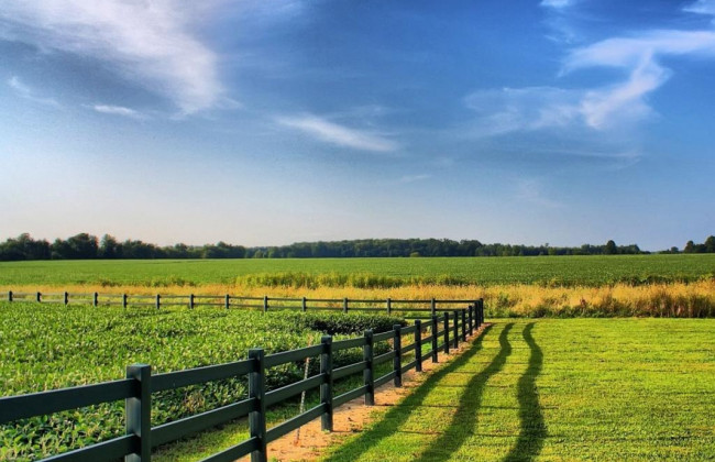 Громадянам, які одноосібно обробляють земельні ділянки, необхідно задекларувати свої доходи