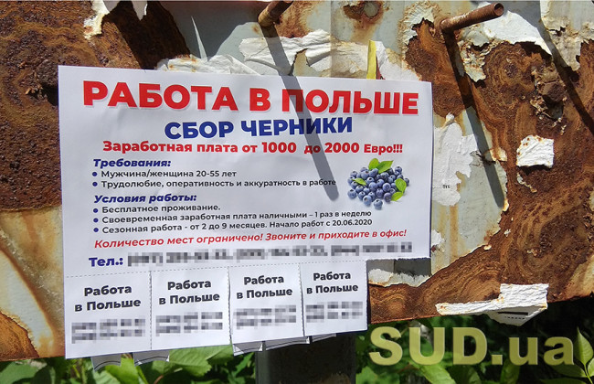 В Польше хотят облегчить трудоустройство иностранцев