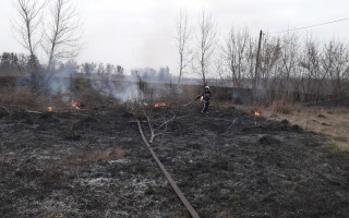 Жгла траву и сгорела заживо: в Киевской области спасатели обнаружили останки женщины