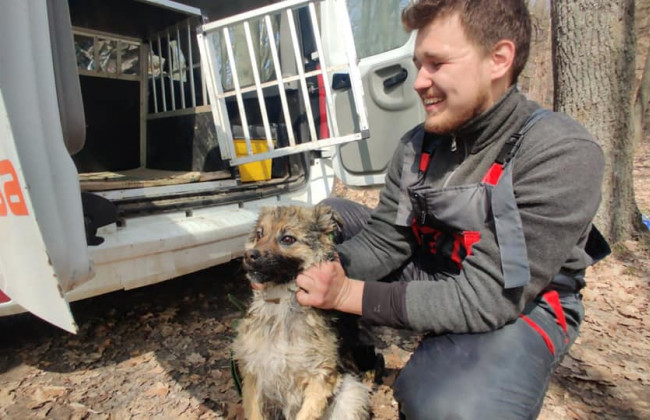 Неделю плавала на льдине: в Харьковской области спасли собаку, фото