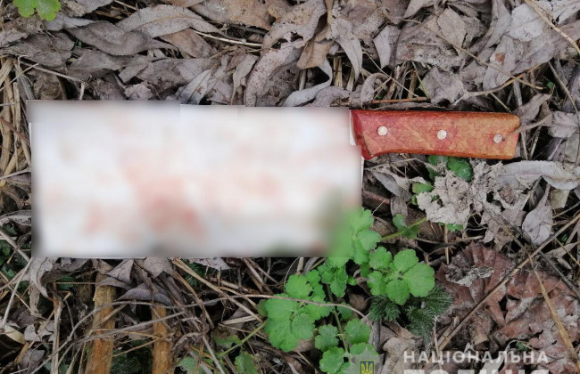 Не поділили гроші: у Борисполі іноземець накинувся на співвітчизника з ножем, фото