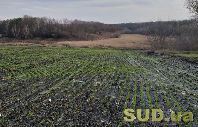 Як зареєструвати земельну ділянку: назвали 6 головних кроків