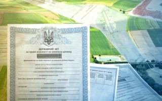 Як отримати кадастровий номер для земельної ділянки, зареєстрованої до 2004 року: інструкція