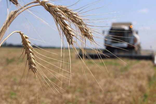 Мін’юст розповів, як захисти аграрний бізнес від «реєстраційного» рейдерства