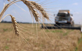 Мін’юст розповів, як захисти аграрний бізнес від «реєстраційного» рейдерства