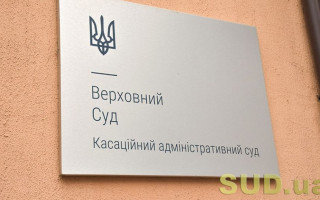 Право громадської організації на звернення до суду: постанова КАС ВС