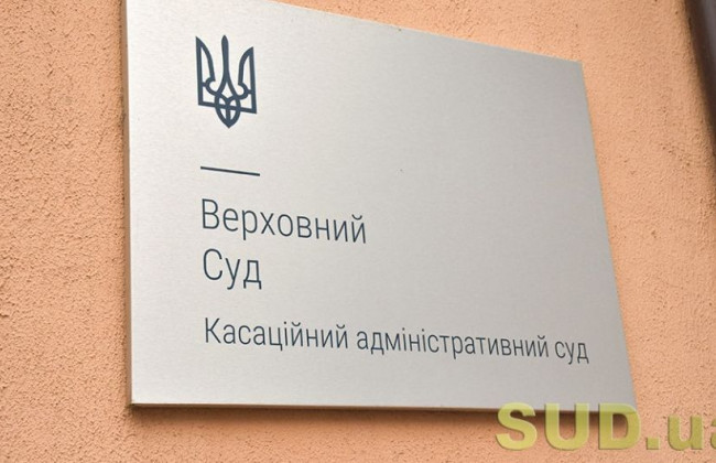 Право громадської організації на звернення до суду: постанова КАС ВС