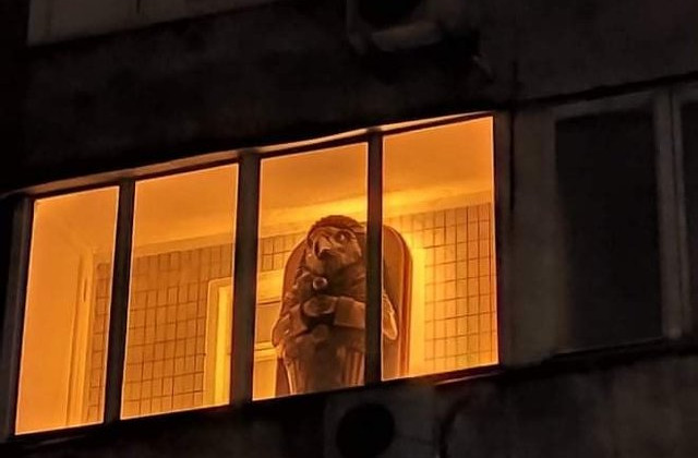 Саркофаг із підсвіткою на балконі: киянин розіграв сусідів