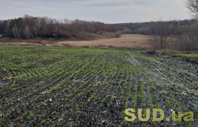 До 1 січня 2025 року власники паїв повинні оформити право власності