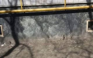 Під Києвом тварини не могли вибратися з підвалів через засклені вікна: фото