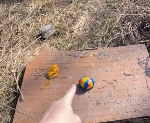 Депутат во время субботника нашла закладку, видео