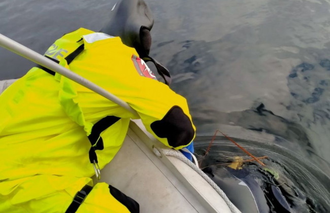 Трагедия в Киеве: из реки достали тело женщины