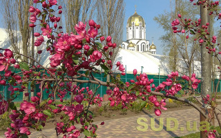 Локдаун на Пасху: стало известно, какие сферы затронет карантин в Киеве