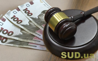 Зменшення розміру судового збору під час подання «похідного» позову: постанова КГС ВС