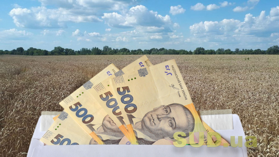 Невеликі сімейні ферми зможуть отримати субсидію в сумі 5 тисяч гривень на гектар