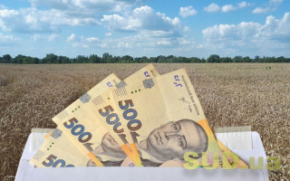 Невеликі сімейні ферми зможуть отримати субсидію в сумі 5 тисяч гривень на гектар
