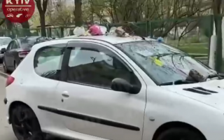 В Киеве жестоко наказали «героя парковки», видео