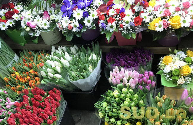 Члени податкового комітету Ради знайшли собі актуальне заняття: захист прав виробників квітів у горщиках