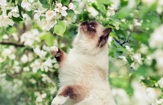 Синоптики предупреждают о снеге на выходных