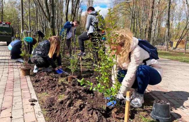 Киевляне высадили более сотни деревьев и кустов фото