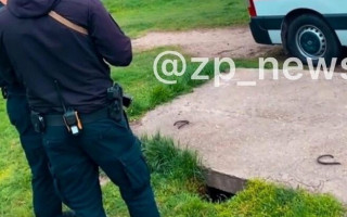 В Запорожье ребенок провалился в яму под бетонными плитами