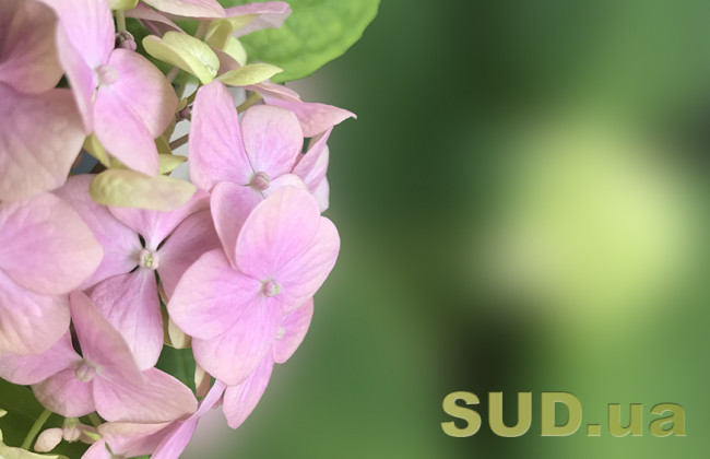 Долгожданное потепление: какой будет предпасхальная неделя в Украине