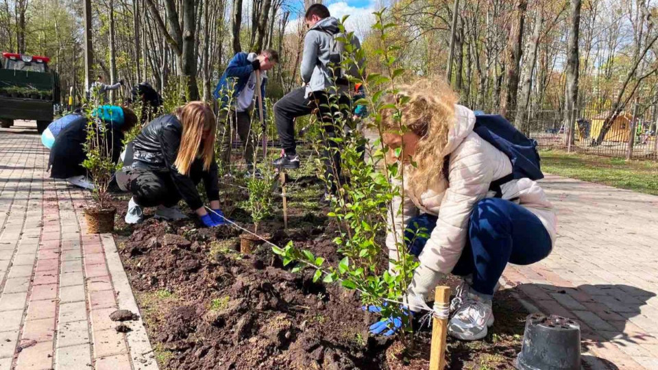 Киевляне высадили более сотни деревьев и кустов фото