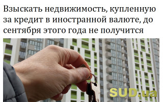 Взыскать недвижимость, купленную за кредит в иностранной валюте, до сентября этого года не получится