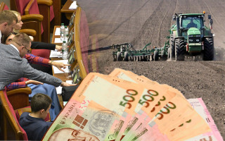 Хто та як зможе купувати землю в Україні: роз'яснення Мін'юсту
