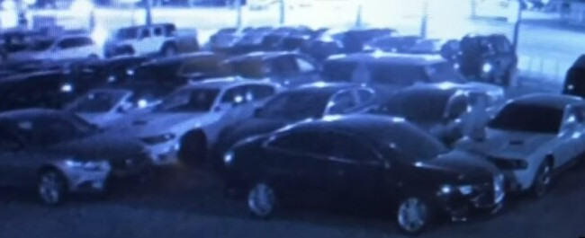 Дерзкое ограбление: воры угнали из автосалона пять машин на сумму $250 000: видео