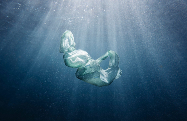 Ученые нашли способ удалить микропластик с помощью бактерии