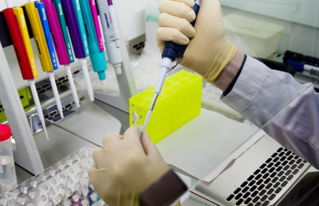 Рада відмовилася підтримувати законопроект про збір ДНК українців