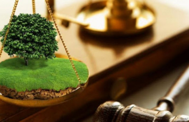 Земельні спори: шляхи вирішення та алгоритм дій