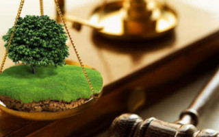 Земельні спори: шляхи вирішення та алгоритм дій