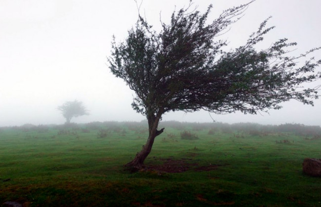 Киевлян предупредили о первом уровне опасности: что произошло