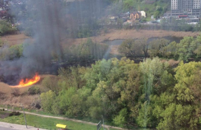 Серьезный пожар в Киеве: вспыхнул экопарк «Совские пруды», фото и видео