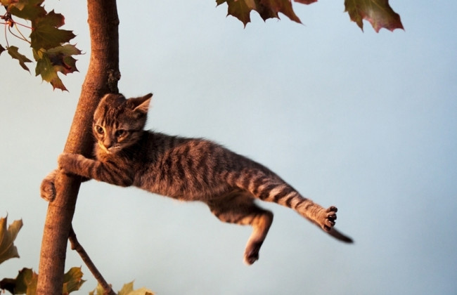 Киевлян предупредили о первом уровне опасности:  погода ухудшается