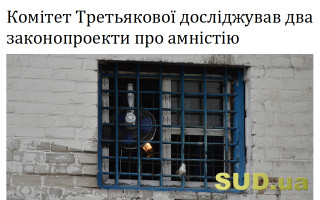 Комітет Третьякової досліджував два законопроекти про амністію