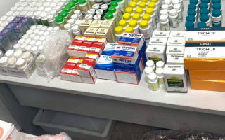 Київські митники вилучили майже 700 упаковок незаконно ввезених аюрведичних засобів