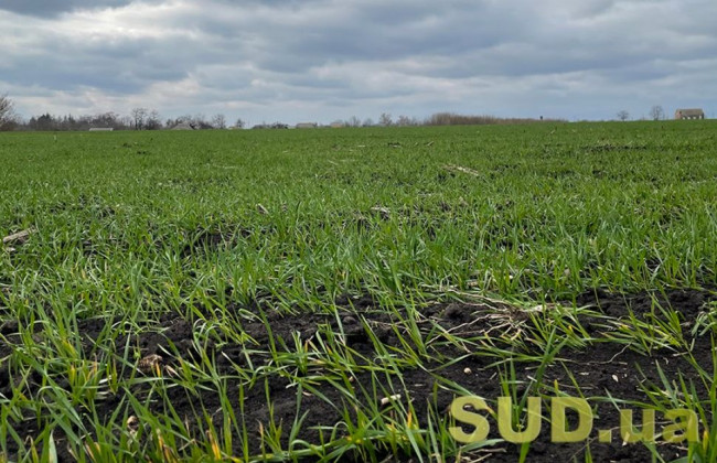 Чи можна продати або передати в оренду землю з державним актом права власності старого зразка