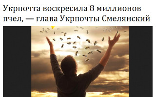Укрпочта воскресила 8 миллионов пчел, - глава Укрпочты Смелянский